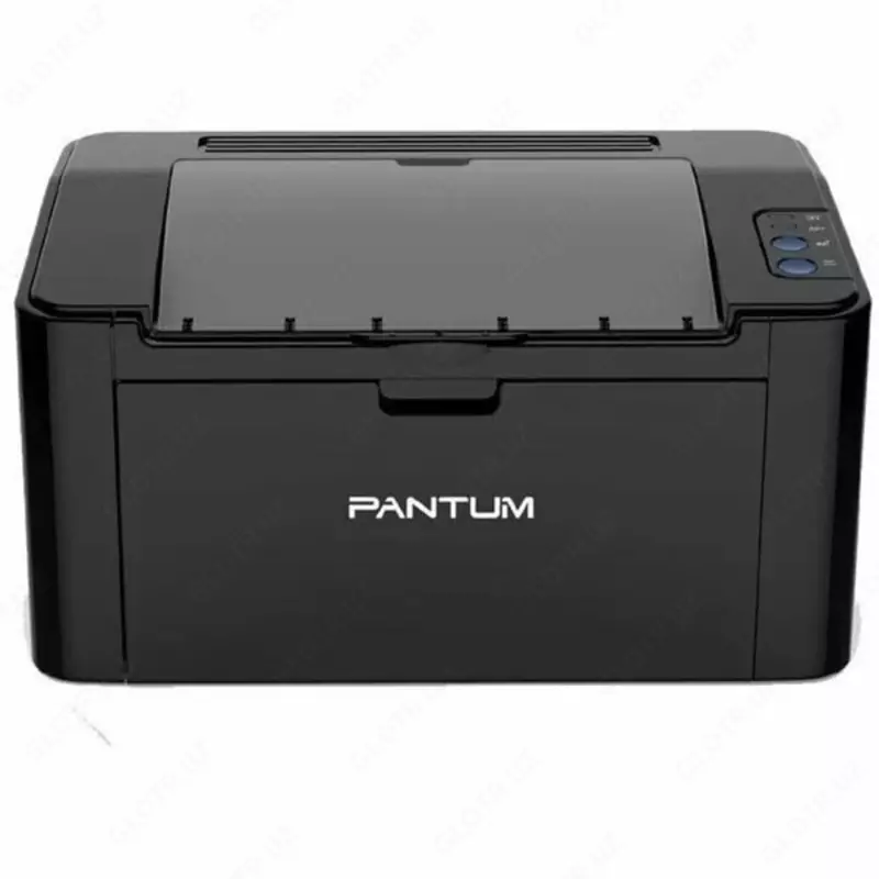Монохромный лазерный принтер "Pantum" М2507, A4 (Арт. - P2507) Черный