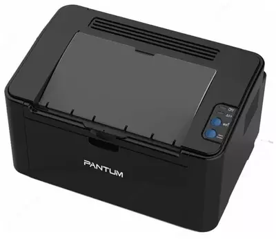 Монохромный лазерный принтер "Pantum" М2507, A4 (Арт. - P2507) Черный