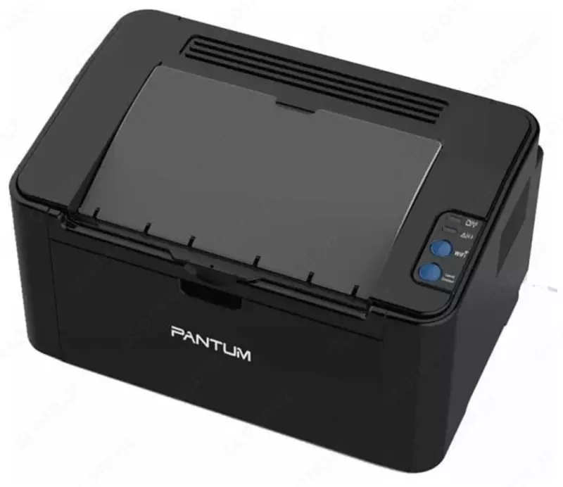 Монохромный лазерный принтер "Pantum" М2507, A4 (Арт. - P2507) Черный