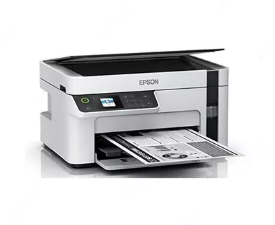 МФУ EPSON M2120