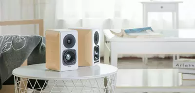Колонки EDIFIER S880DB