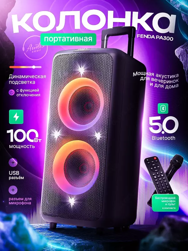 Переносная колонка Fenda PA300 (FM) 100Вт