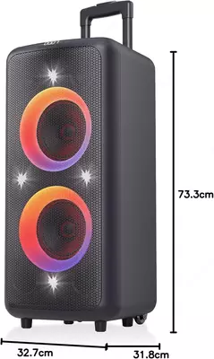 Ko‘chma karnay Fenda PA300 (FM), 100 Vt