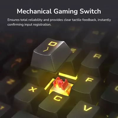 Игровой набор Cougar Combat Клавиатура и мышь - Maxcore.Uz - Компьютерная техника в Узбекистане