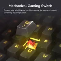 Игровой набор Cougar Combat Клавиатура и мышь - Maxcore.Uz - Компьютерная техника в Узбекистане