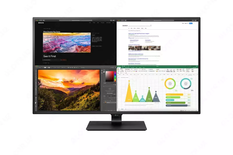 Монитор LG 43UN700-B 43