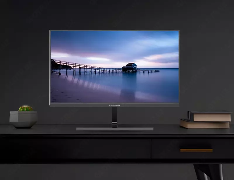 Monitor Premier 24″ 24PRM100 IPS FHD 100Hz