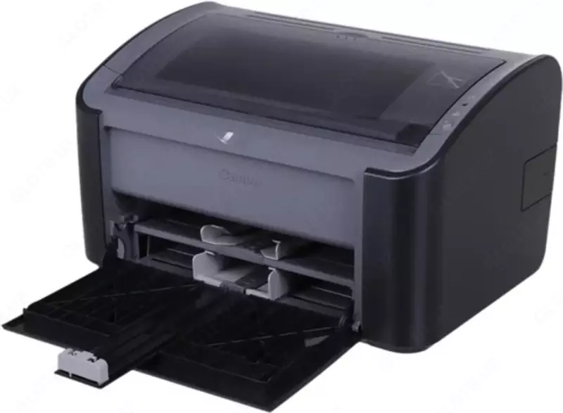   Монохромный лазерный принтер Canon LaserShot LBP2900B Черный