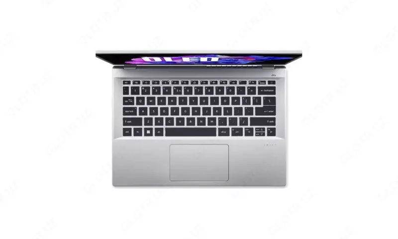   Noutbuk 14 Acer Swift Go OLED (Art. - NX.KMZER.007) Kumush