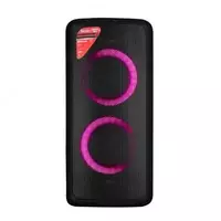 Ko‘chma karnay Fenda PA300 (FM)  100 Vt