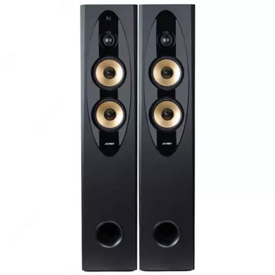 Fenda T-60X Pro (USB) 120Vt karaoke karnaylari