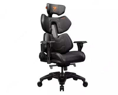  Oyin orindigi Cougar TERMINATOR - 