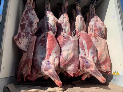 от 82 000 сум от 100 кг.
                                                
                    
                                                            от 81 000 сум от 1000 кг. Мясо говядины - Охлажденное мясо говядины в четвертинах