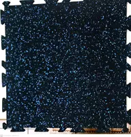 Спортивное покрытие TOPFLOR GUMFIT 6мм (Китай) Только в розницу