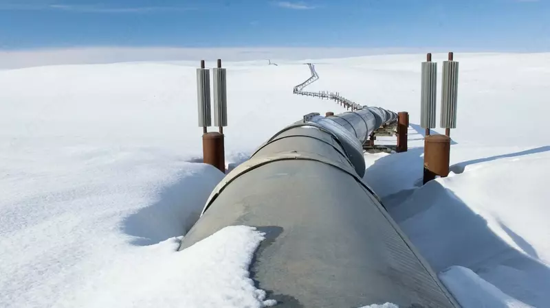 Трубы стальные сварные для магистральных газонефтепроводов  D= 57-2020 мм  s= 3-40 мм  Марка: 17Г1С-У; 17Г1С; 20...  Стандарт: ГОСТ 20295-85; ТУ 14-3Р-137-2015; ТУ 1317-006.1-593377520-2003...