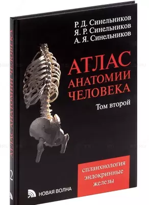 Книга: Атлас анатомии человека. Том 2