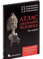 Книга: Атлас анатомии человека. Том 2