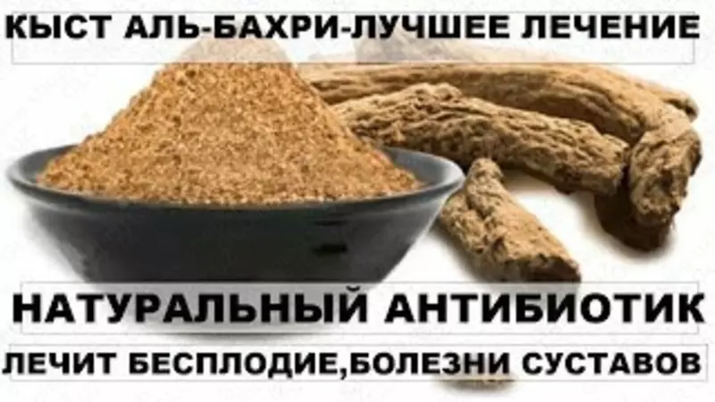   Капсулы Кыст аль Хинди
