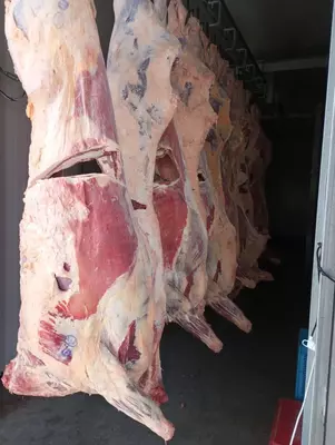 Мясо говядины I-ой категории в четвертинах замороженное