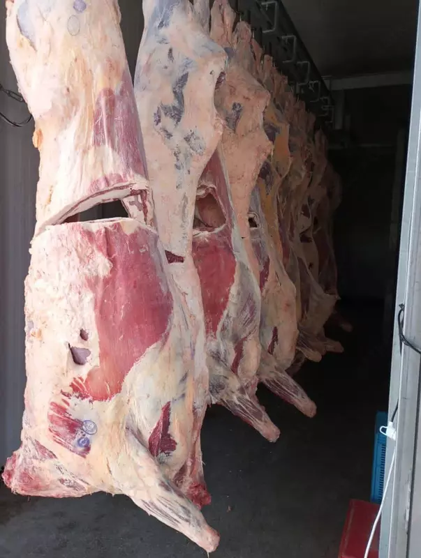 Muzlatilgan chorak mol go'shti