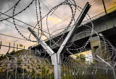 Егоза, Egoza, Колючка, тикон сим, tikonli sim