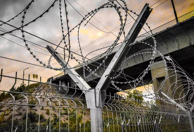 Егоза, Egoza, Колючка, тикон сим, tikonli sim