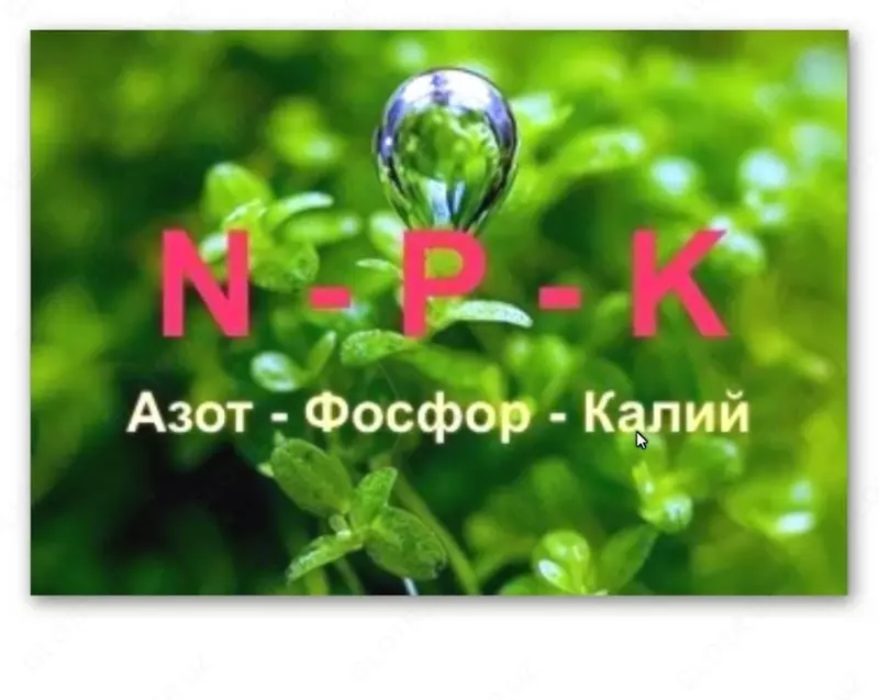  Раствор фосфора и азота 3-30-0 +ME (минеральное удобрение) NUTRI COM PZN - 