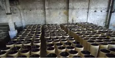 Bitum izolyatsiya uchun OPTOM Ulgurji va chakana