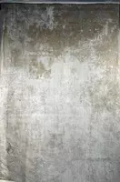 Elegant gilam "Dahlia" (Turkiya) №8 model