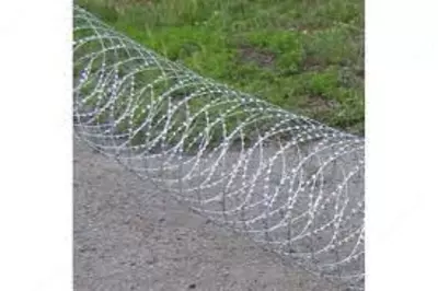 Егоза - 32 000 сум / кг.