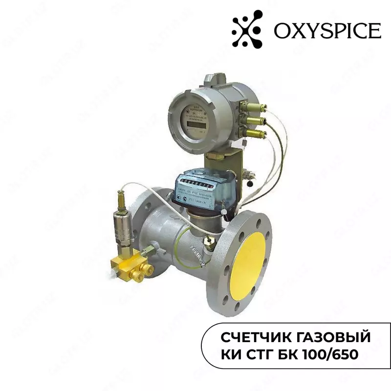 Счетчик газовый КИ СТГ БК 100/650