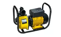 Мотопомпа бензиновая UBAY UB-WB20A (водяной насос)