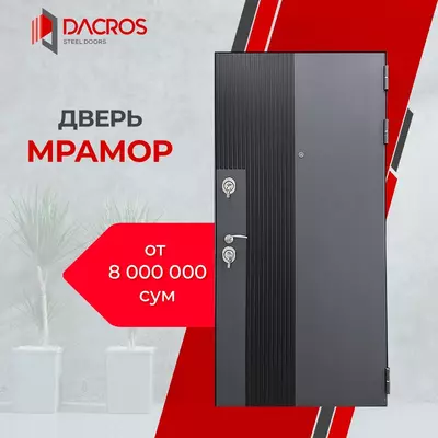 Входная дверь DACROS