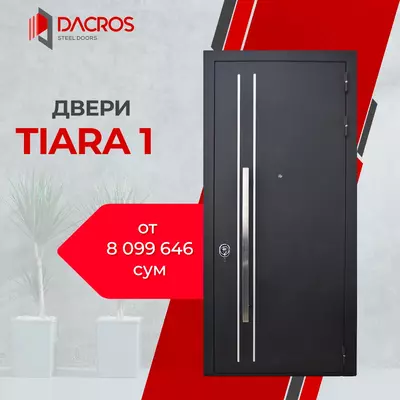 Входная дверь DACROS
