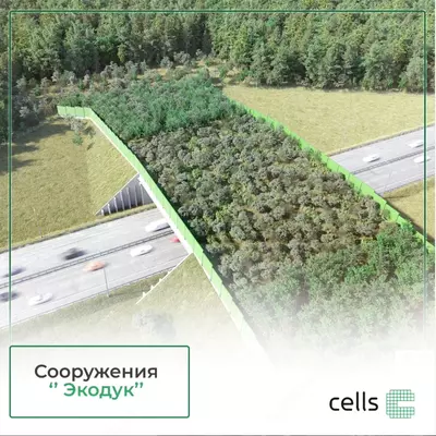 "Ekoduk" qurilishi - Narx so&#039;rov asosida