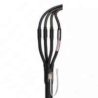 Kabelni tugatish 4PKTp(b)-1