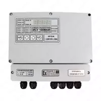 ISU-100MI ikki kanalli sigim darajasi olchagichlari