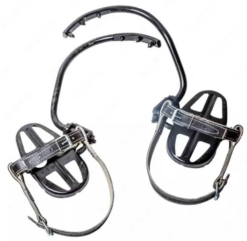 KM-2 daraxti ustidagi plashlar