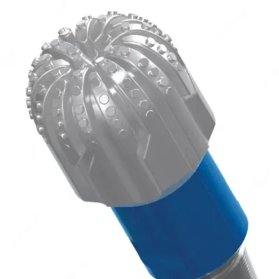 Emprenye qilingan bitlar