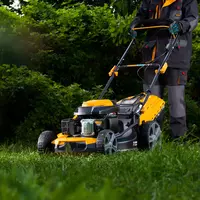  GLD-460SP benzin gazon kesgichi  146 sm³  kengligi 46 sm  prujina  7 daraja  ot toplovchi 50 l // Denzel - ООО QUATTRO PRO