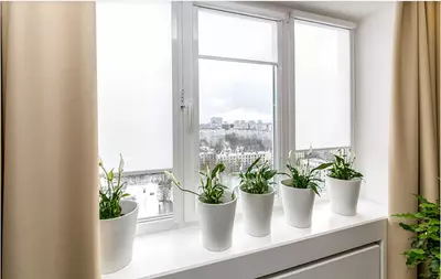 1 500 000 so'm / dona PVX derazalar Knipping_Standard 58 mm.