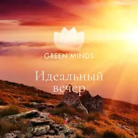 Нейромедитация GREEN MINDS Идеальный вечер (#04002)