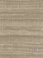 Бытовой линолеум Napol Lin "Start Stage" (Арт. - 41074-5) Кремовый