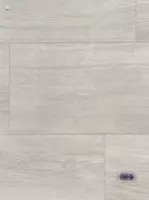 Бытовой линолеум Napol Lin "Start Stage" (Арт. - 41067-20) Пепельный