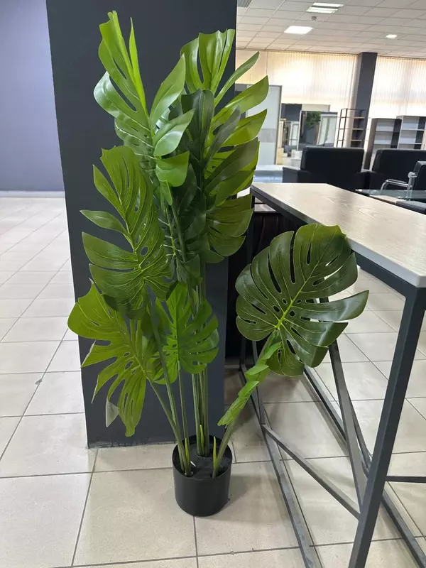 Цветы для офиса  №1