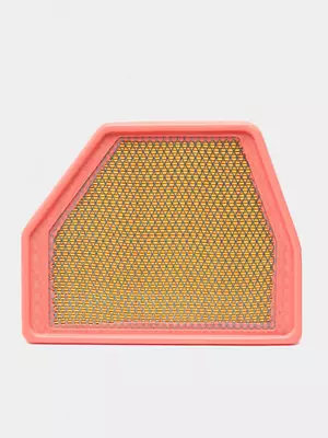 GM avtomobili uchun havo filtri (ADS Captiva 3.0)