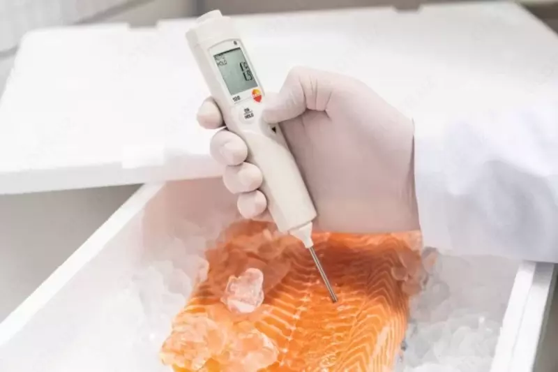 testo 106 - Пищевой термометр