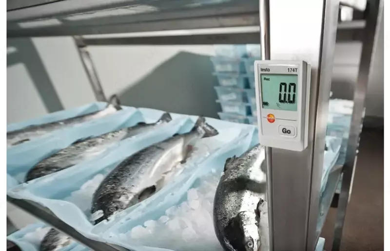 testo 174 T - Мини-логгер данных температуры