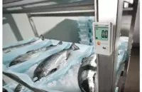 testo 174 T - Мини-логгер данных температуры - 10 сум