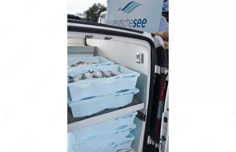 testo 175 T1 - 1-канальный логгер данных температуры